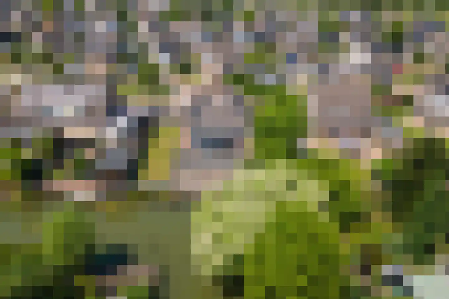 Echteldse Singel 5 Lienden thumbnail 46