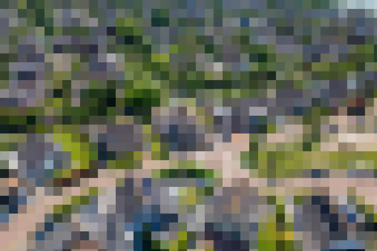 Echteldse Singel 5 Lienden thumbnail 47