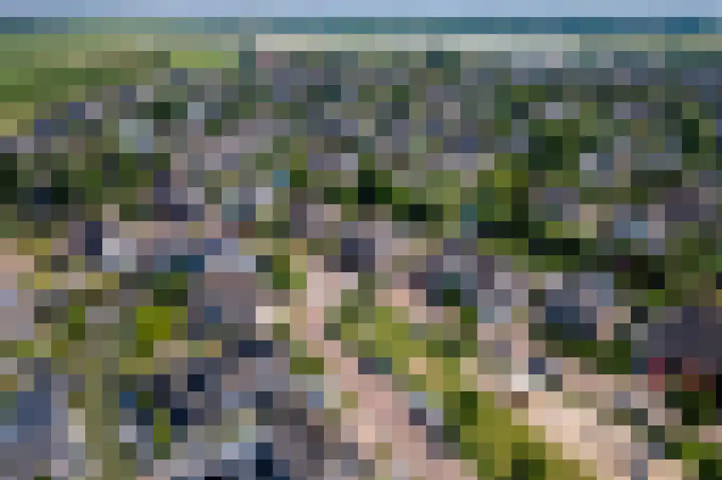Echteldse Singel 5 Lienden thumbnail 48