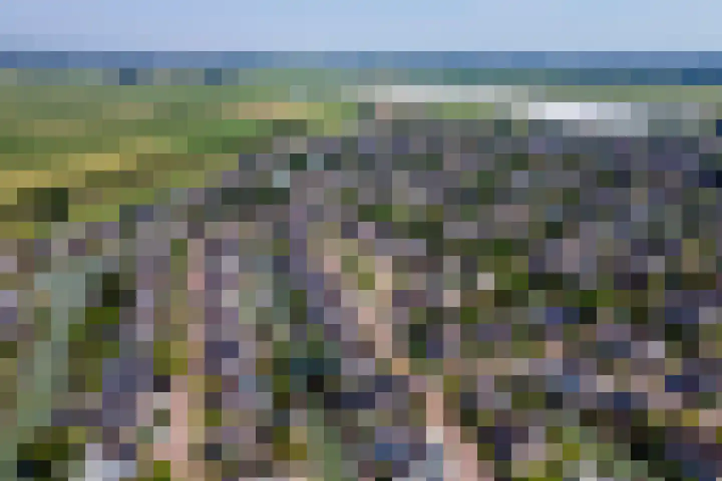 Echteldse Singel 5 Lienden thumbnail 50