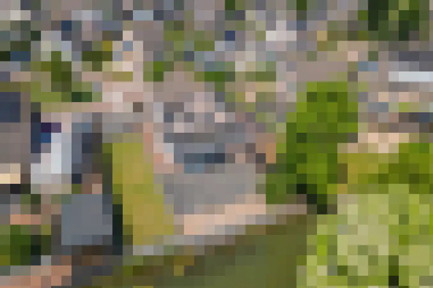 Echteldse Singel 5 Lienden thumbnail 51