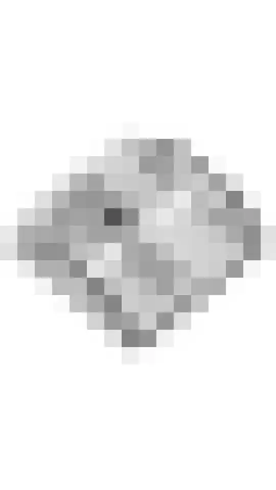 Echteldse Singel 5 Lienden thumbnail 56