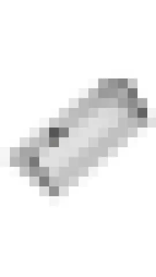 Echteldse Singel 5 Lienden thumbnail 58