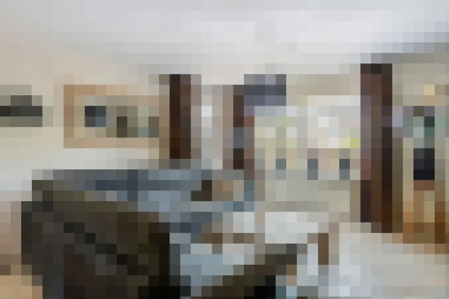 Echteldse Singel 5 Lienden thumbnail 7