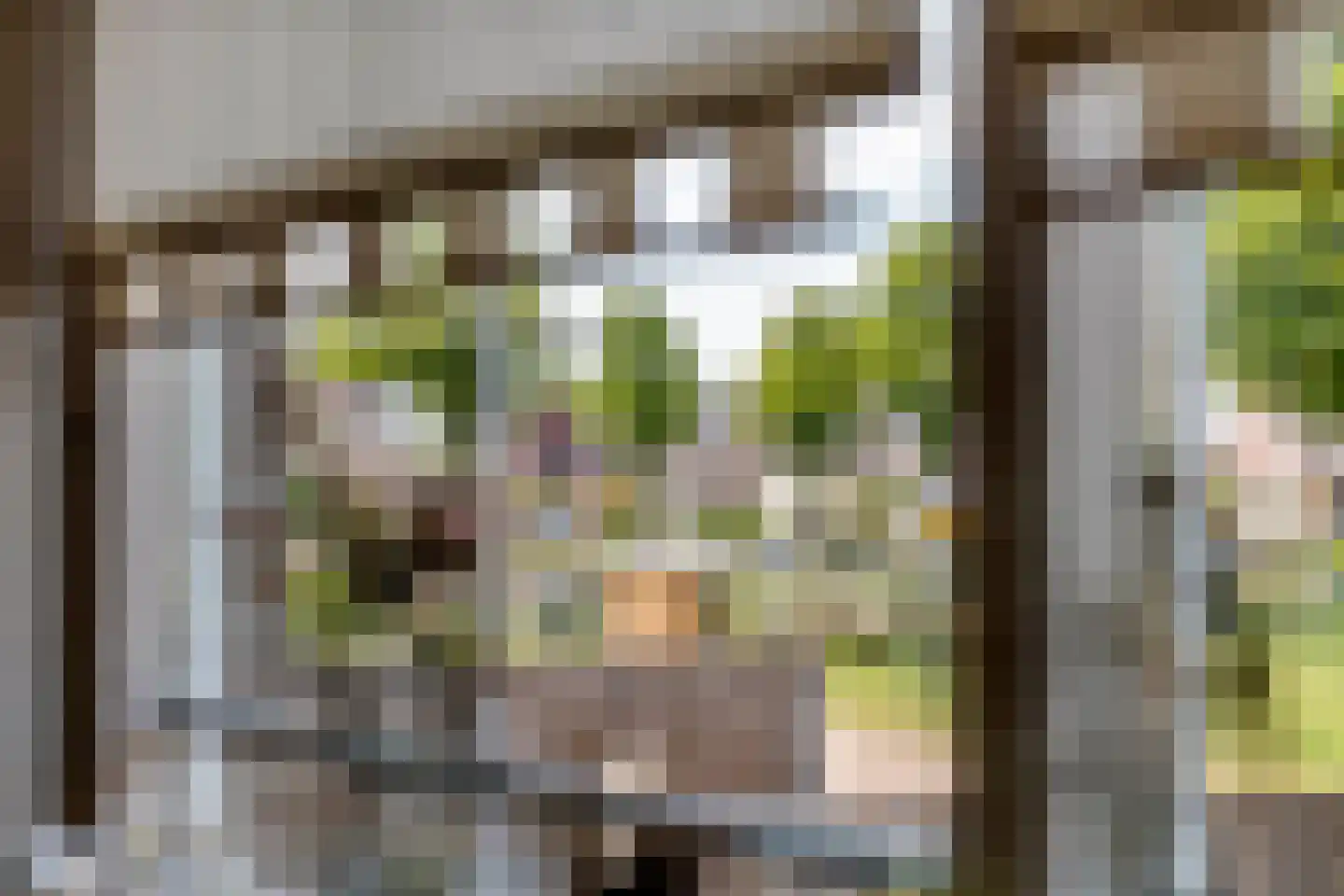 Echteldse Singel 5 Lienden thumbnail 8