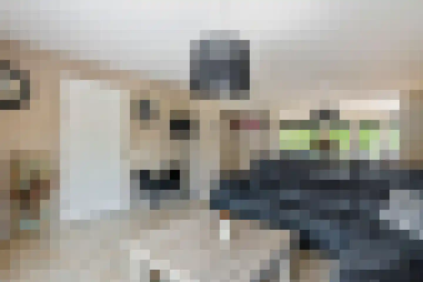 Echteldse Singel 5 Lienden thumbnail 9