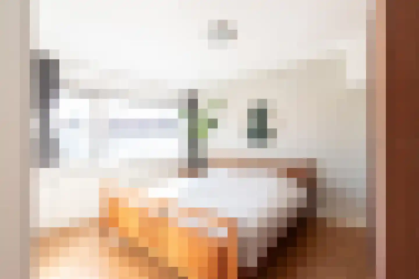 Echtenstraat 128 Assen thumbnail 18