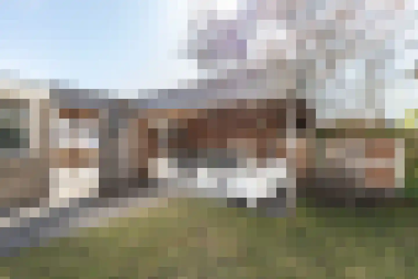 Echtenstraat 128 Assen thumbnail 26