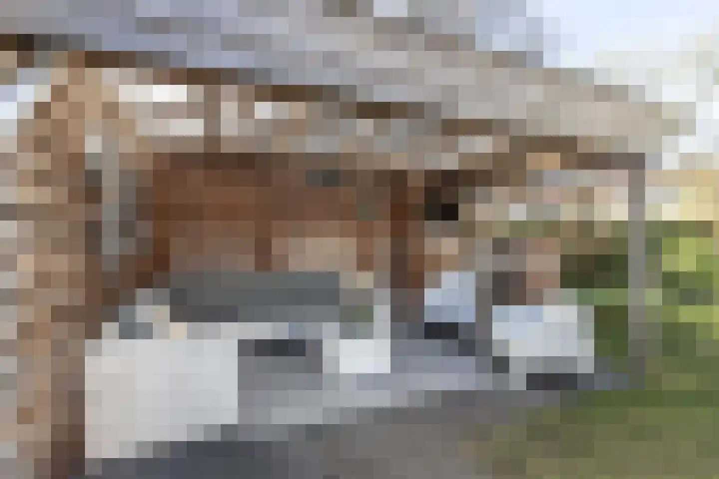 Echtenstraat 128 Assen thumbnail 27