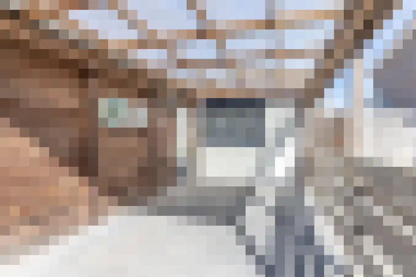 Echtenstraat 128 Assen thumbnail 29