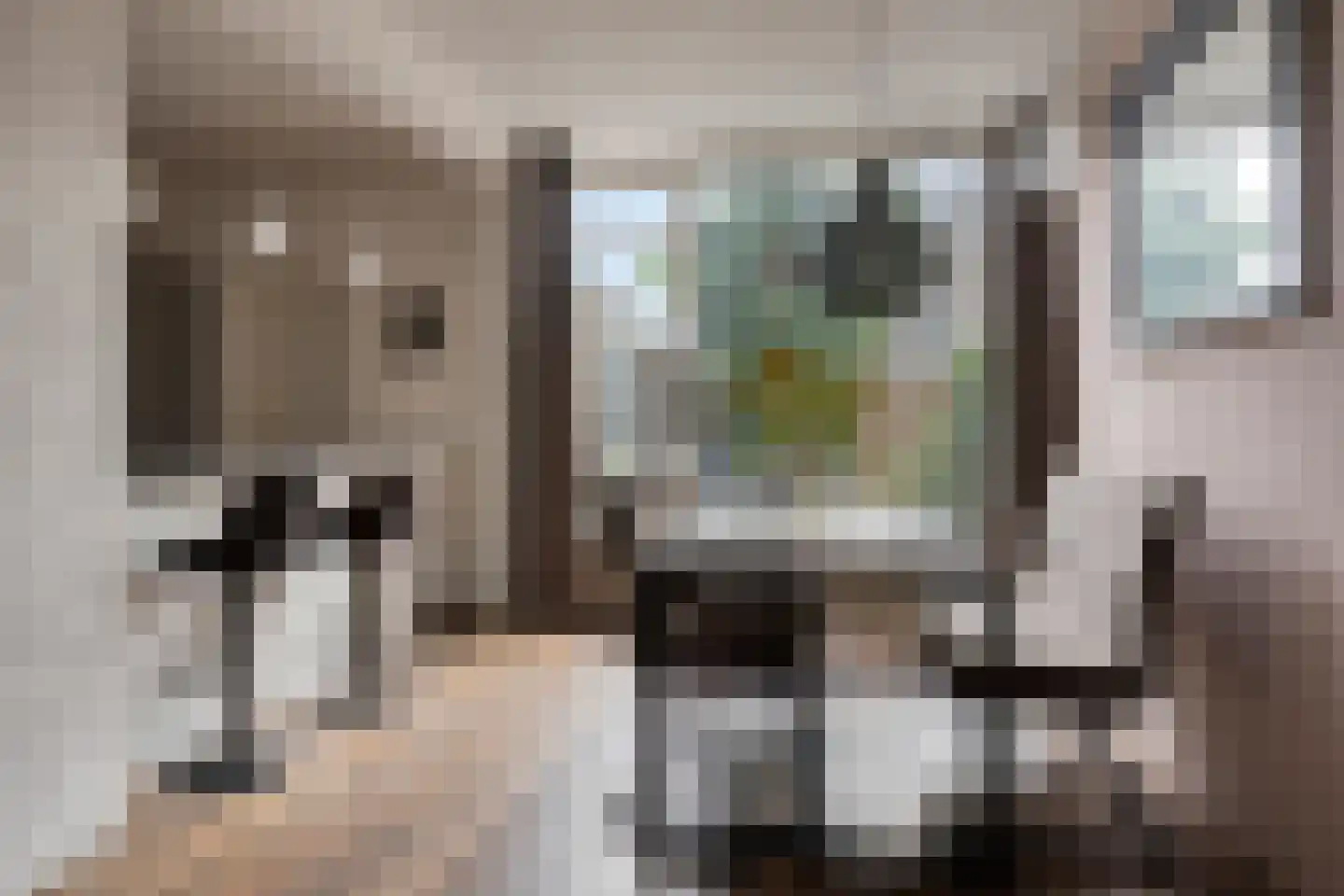 Echtenstraat 130 Assen thumbnail 11