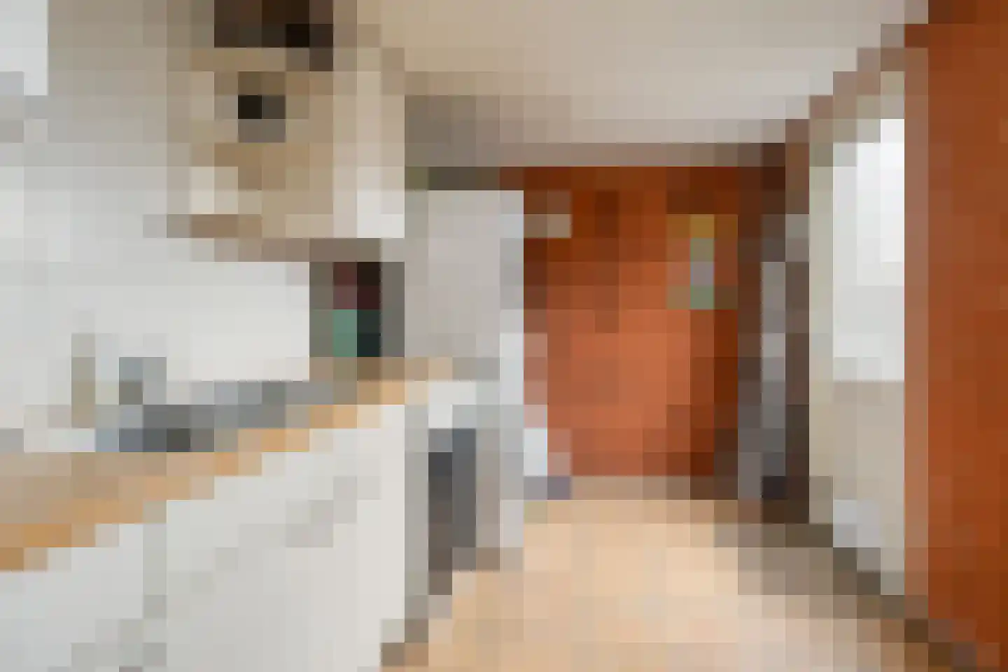 Echtenstraat 130 Assen thumbnail 14