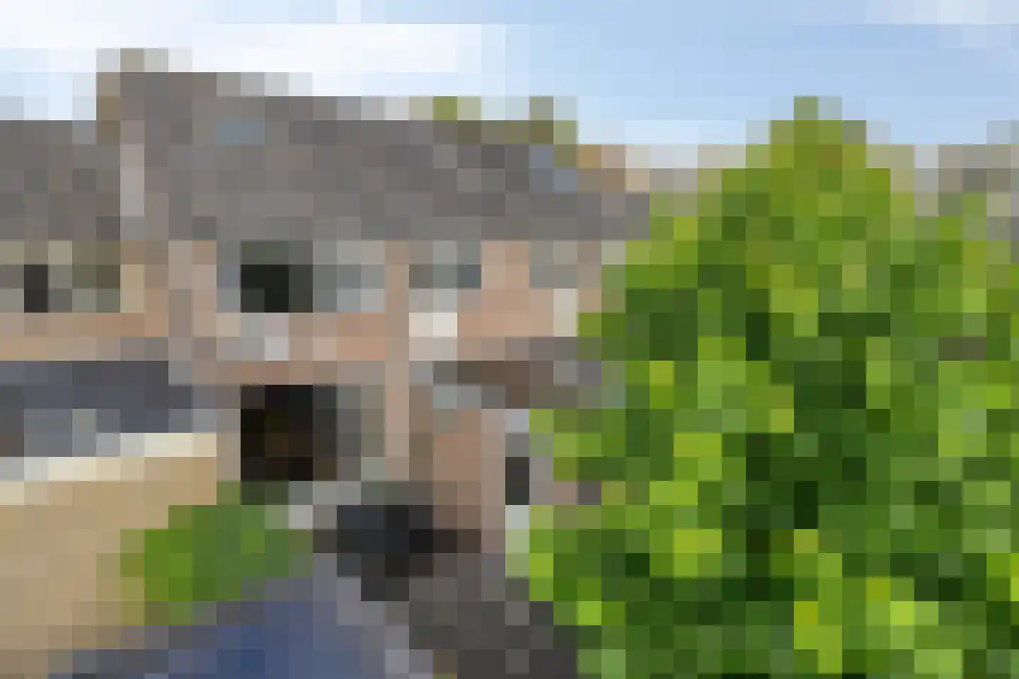 Echtenstraat 130 Assen thumbnail 25