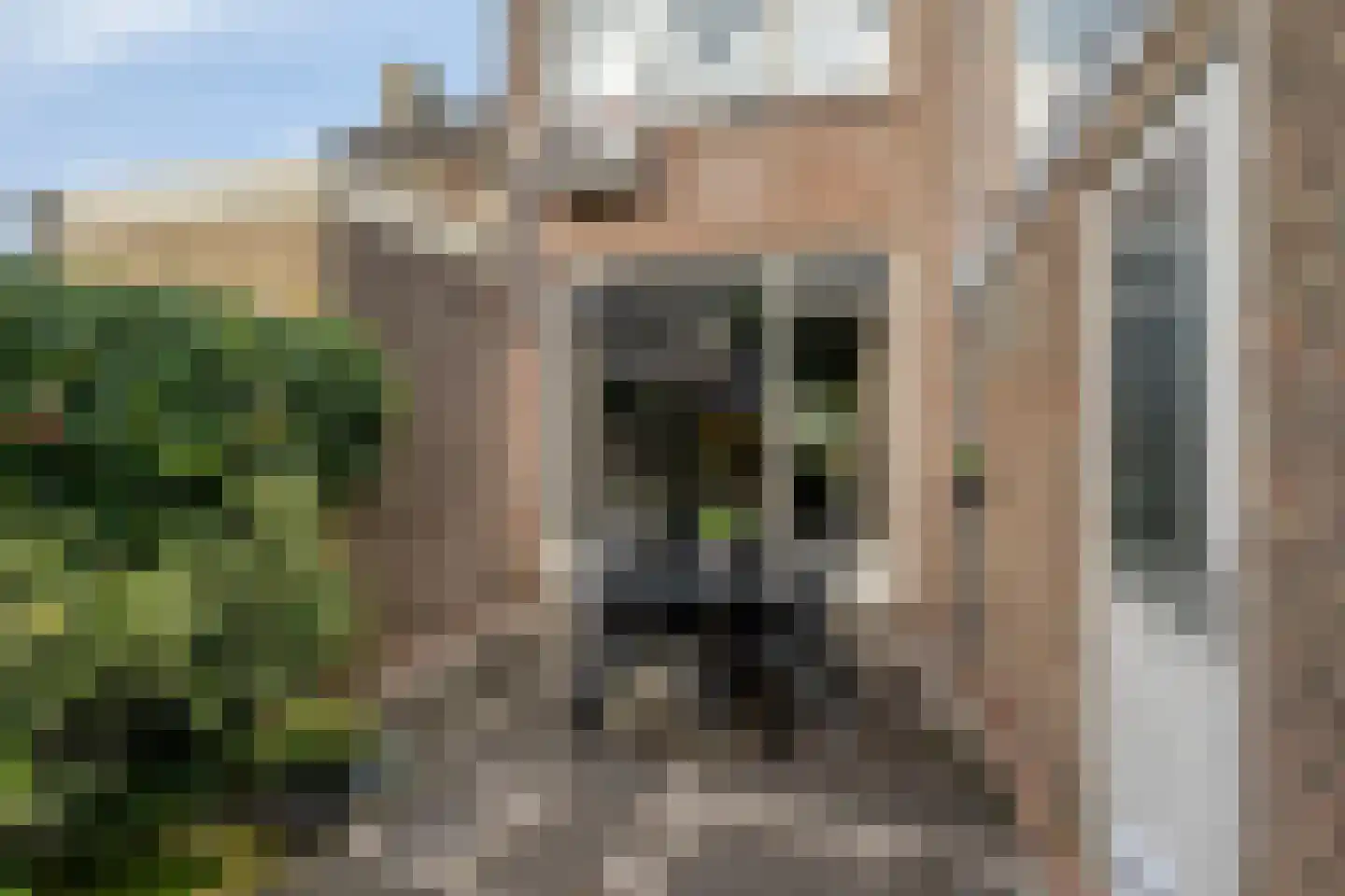 Echtenstraat 130 Assen thumbnail 26