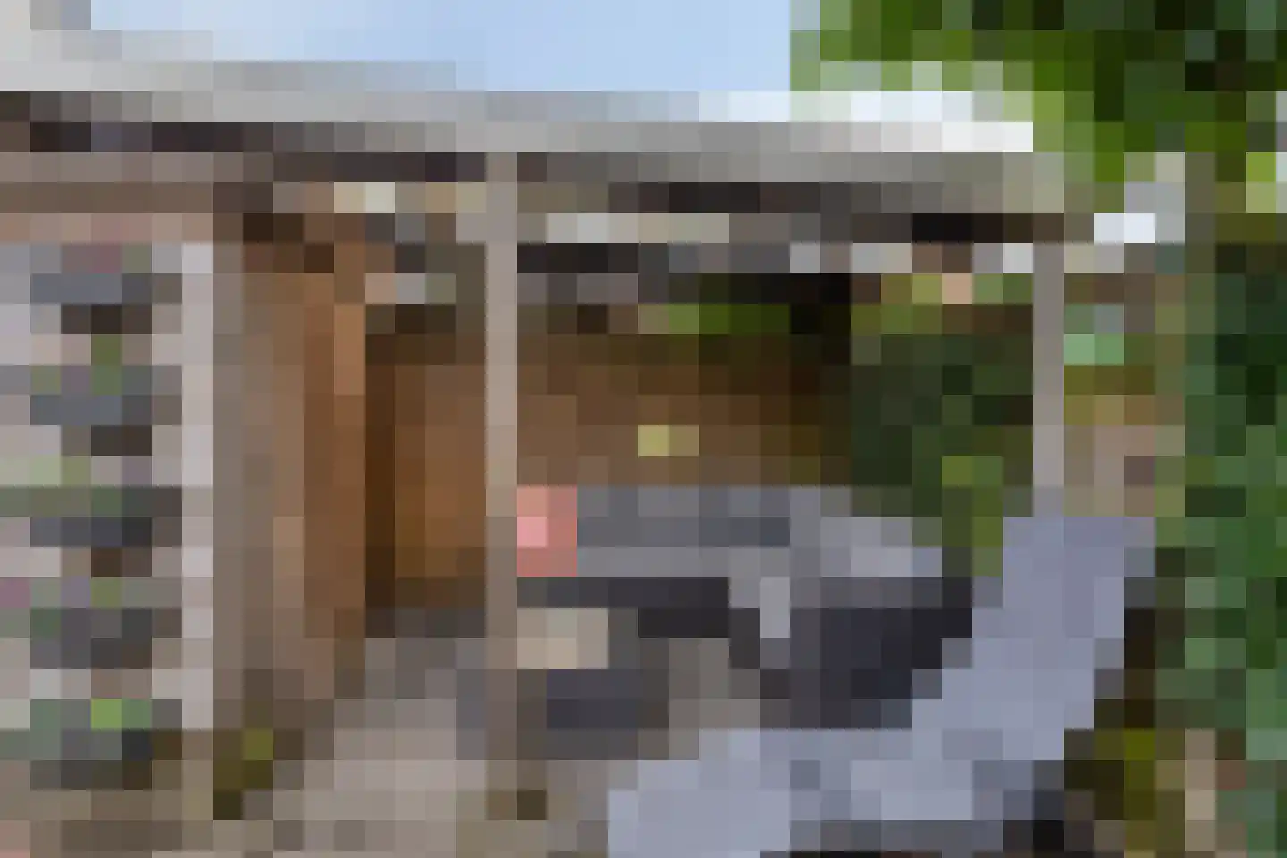 Echtenstraat 130 Assen thumbnail 28