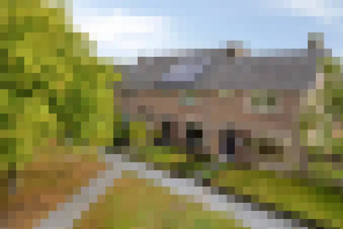 Echtenstraat 130 Assen thumbnail 5