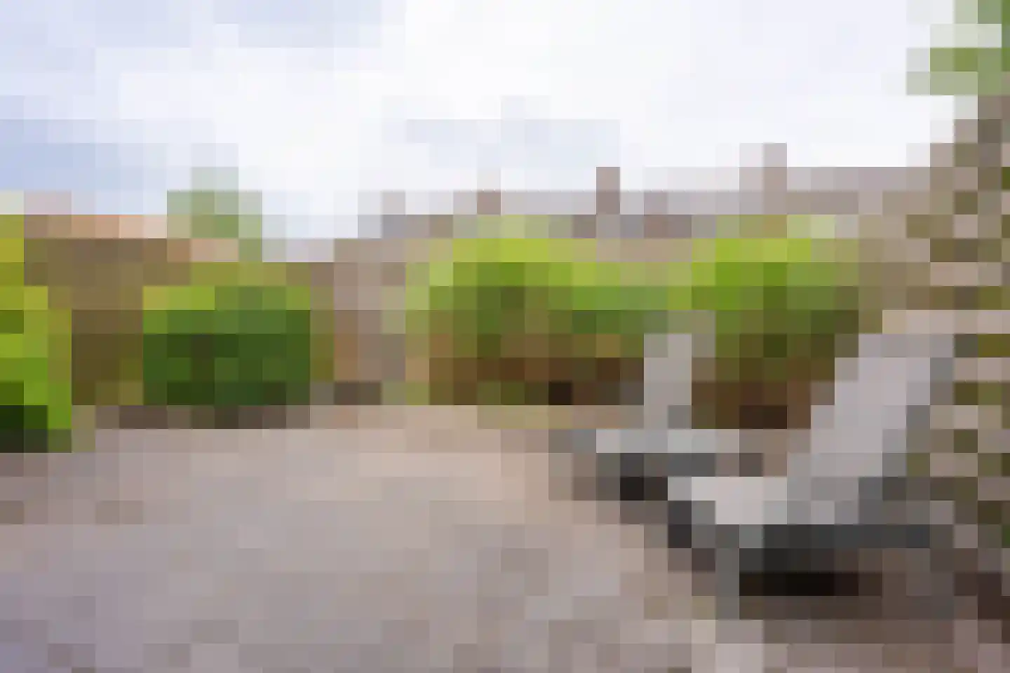 Echtenstraat 76 Assen thumbnail 29
