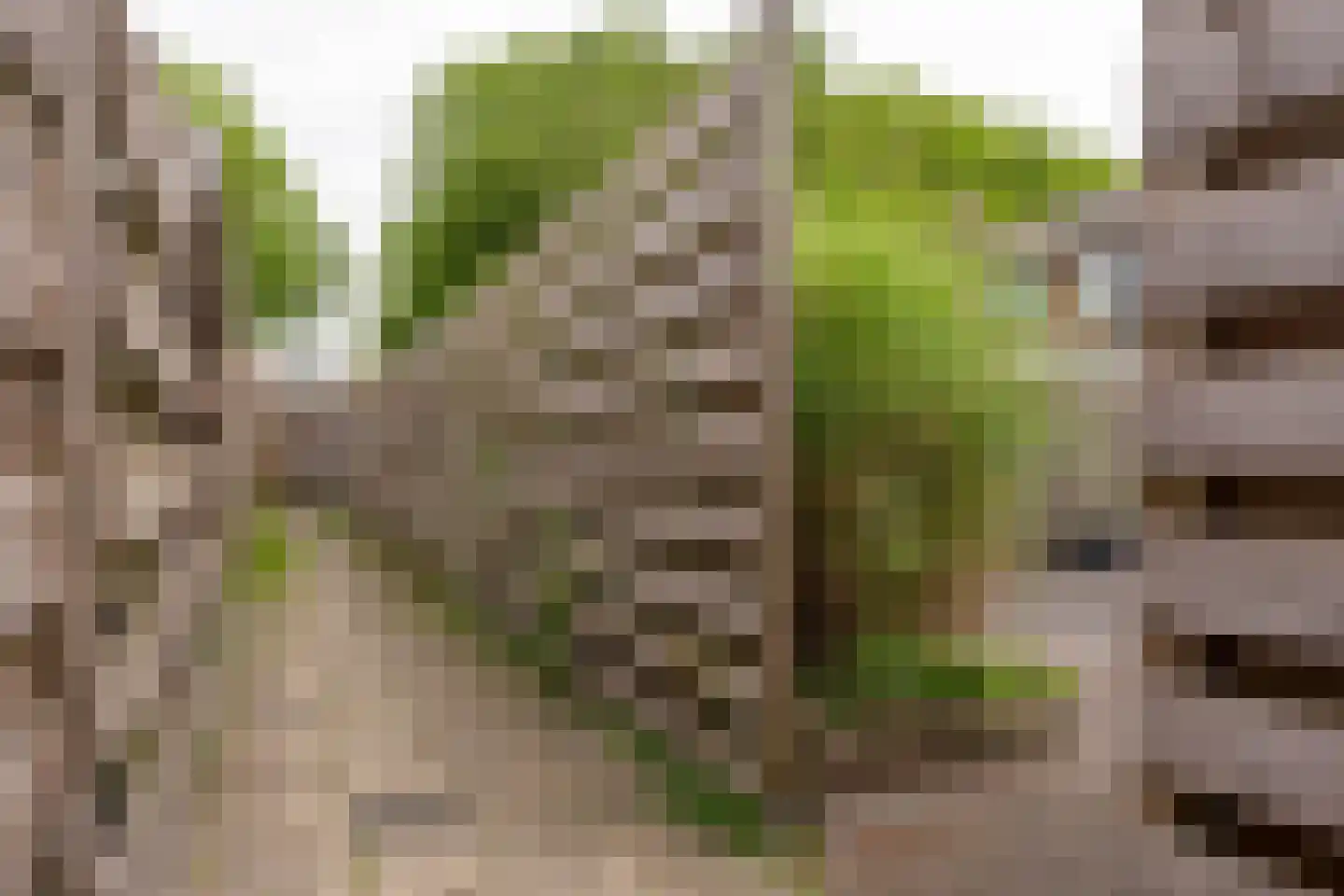Echtenstraat 76 Assen thumbnail 30