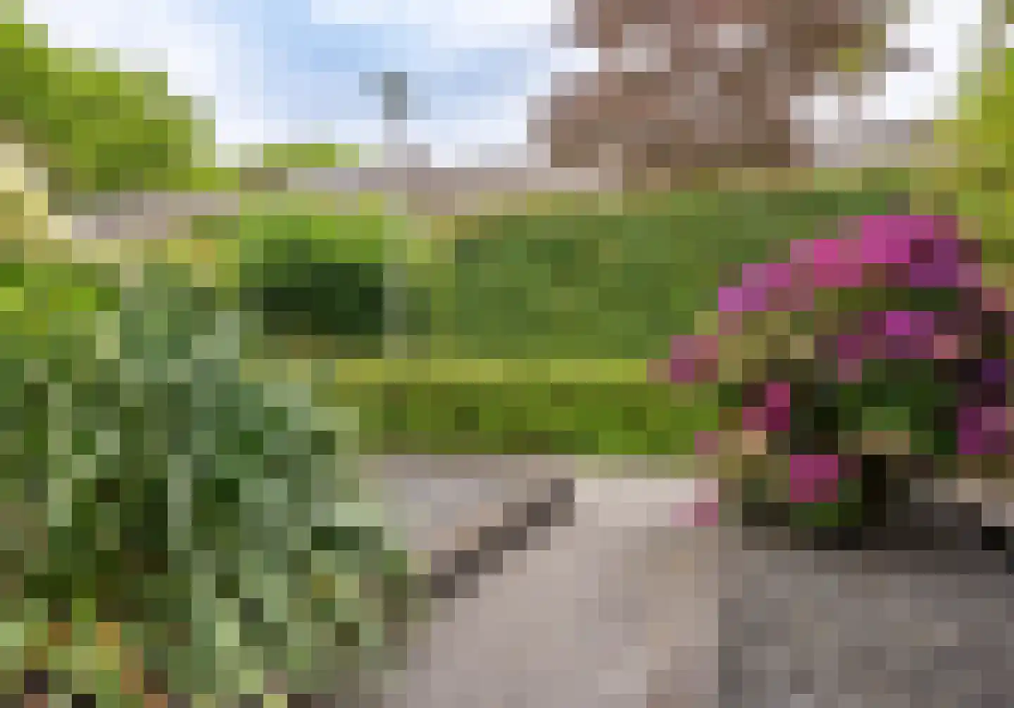 Echtenstraat 76 Assen thumbnail 32
