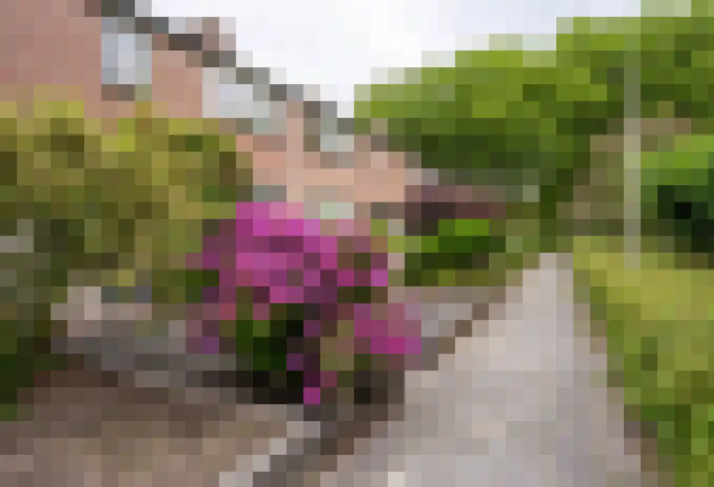Echtenstraat 76 Assen thumbnail 33
