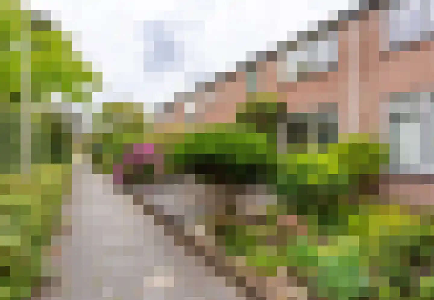 Echtenstraat 76 Assen thumbnail 36