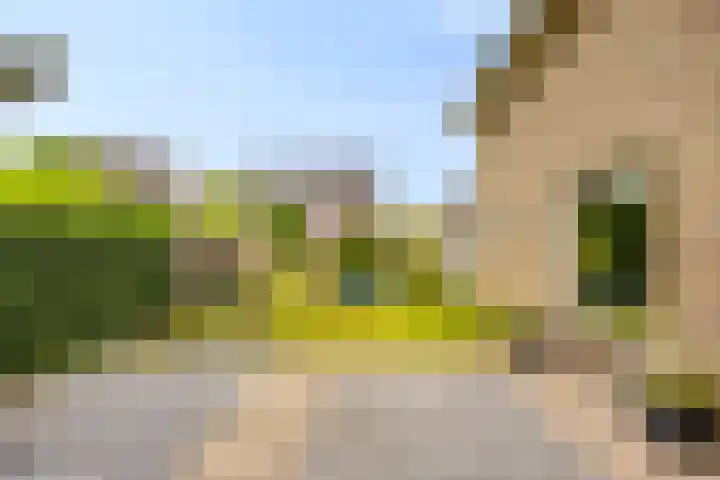 Echternachstraat 2 Wilbertoord thumbnail 30