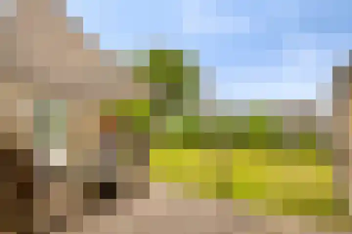 Echternachstraat 2 Wilbertoord thumbnail 33