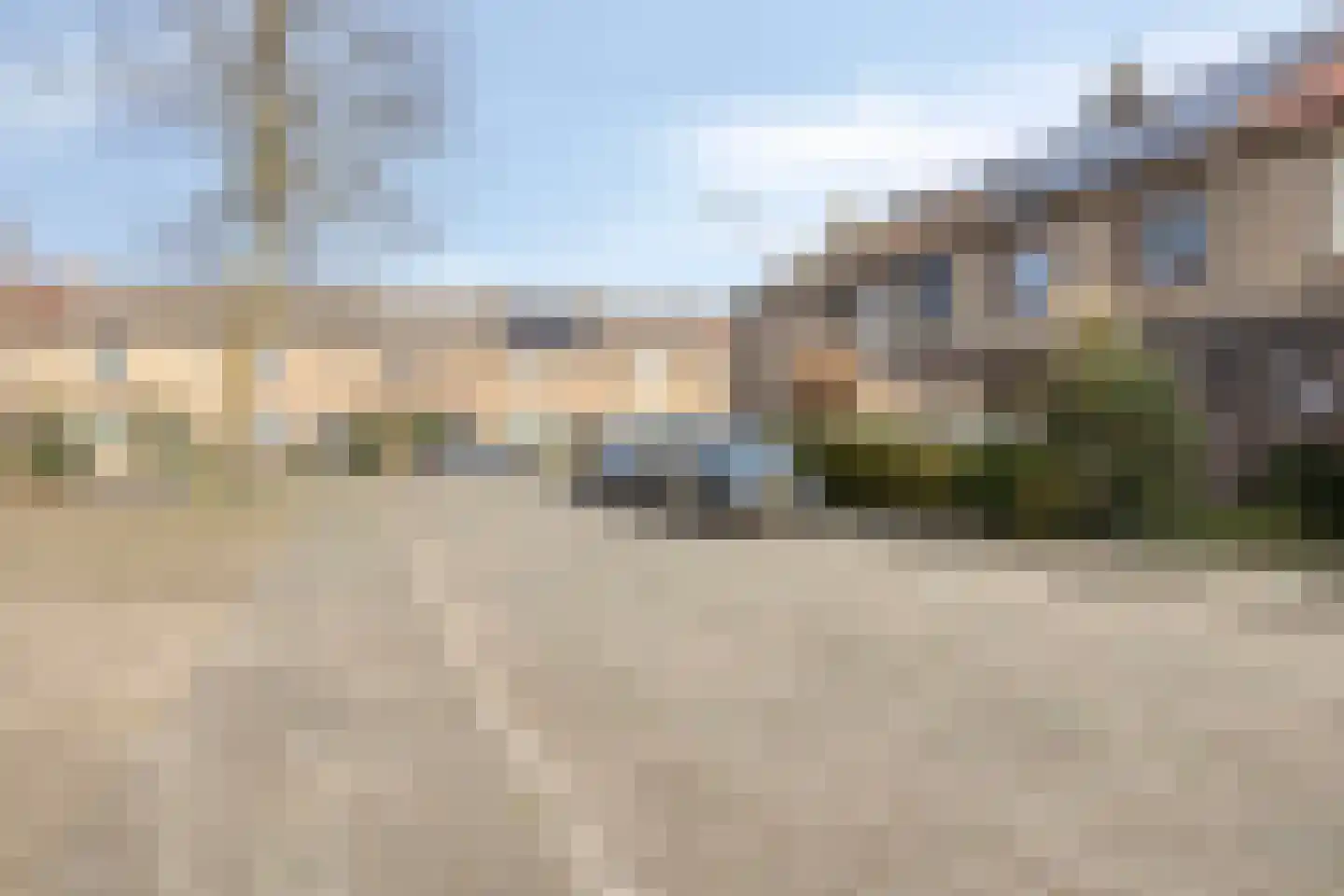 Echternachstraat 41 's-Hertogenbosch thumbnail 32