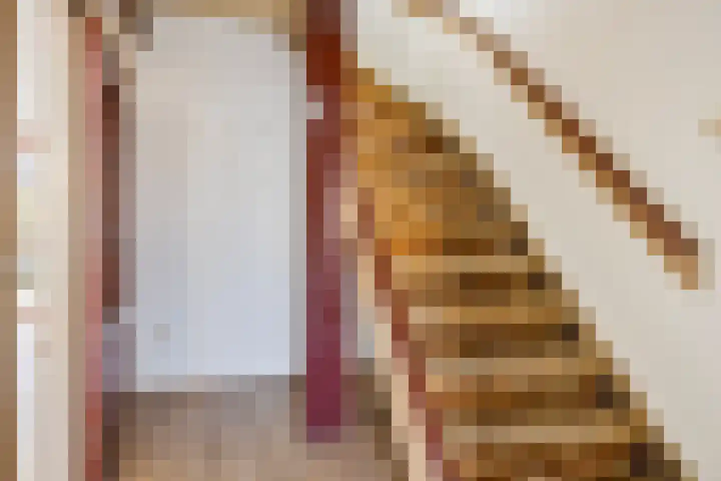 Echternachstraat 41 's-Hertogenbosch thumbnail 6