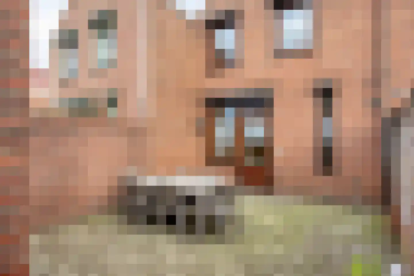 Echterstraat 110 Maasbracht thumbnail 36