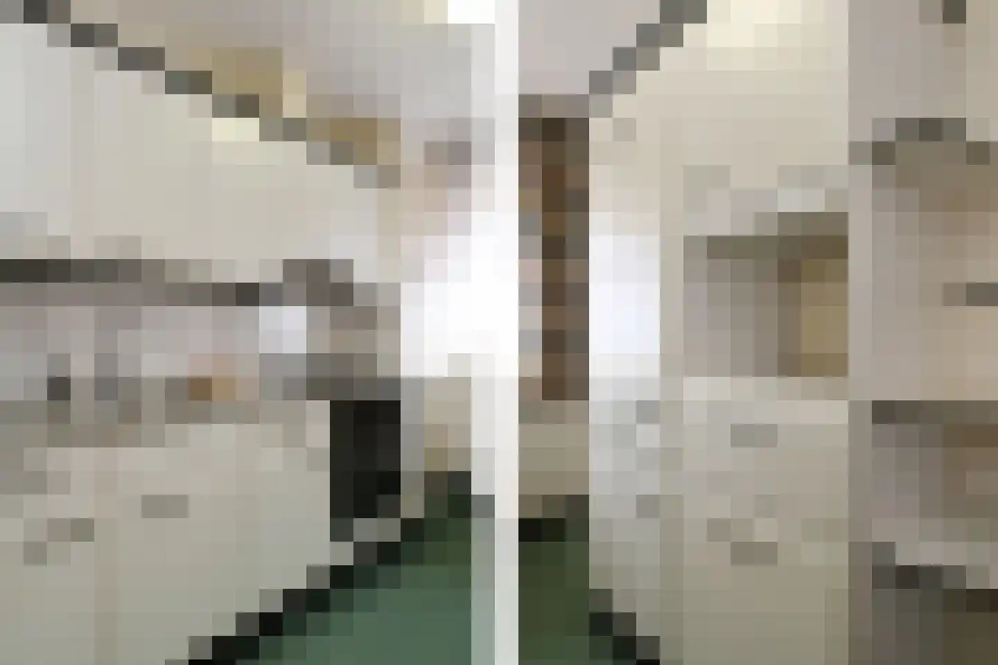 Echterstraat 17 Echt thumbnail 11