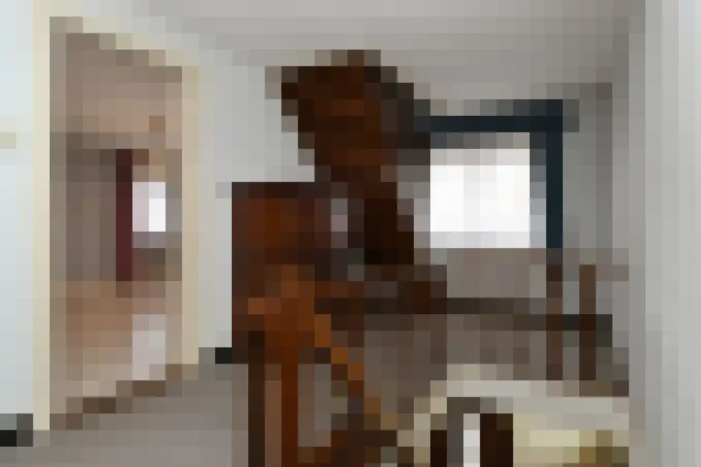 Echterstraat 17 Echt thumbnail 15