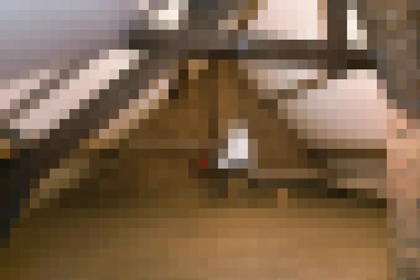 Echterstraat 17 Echt thumbnail 20