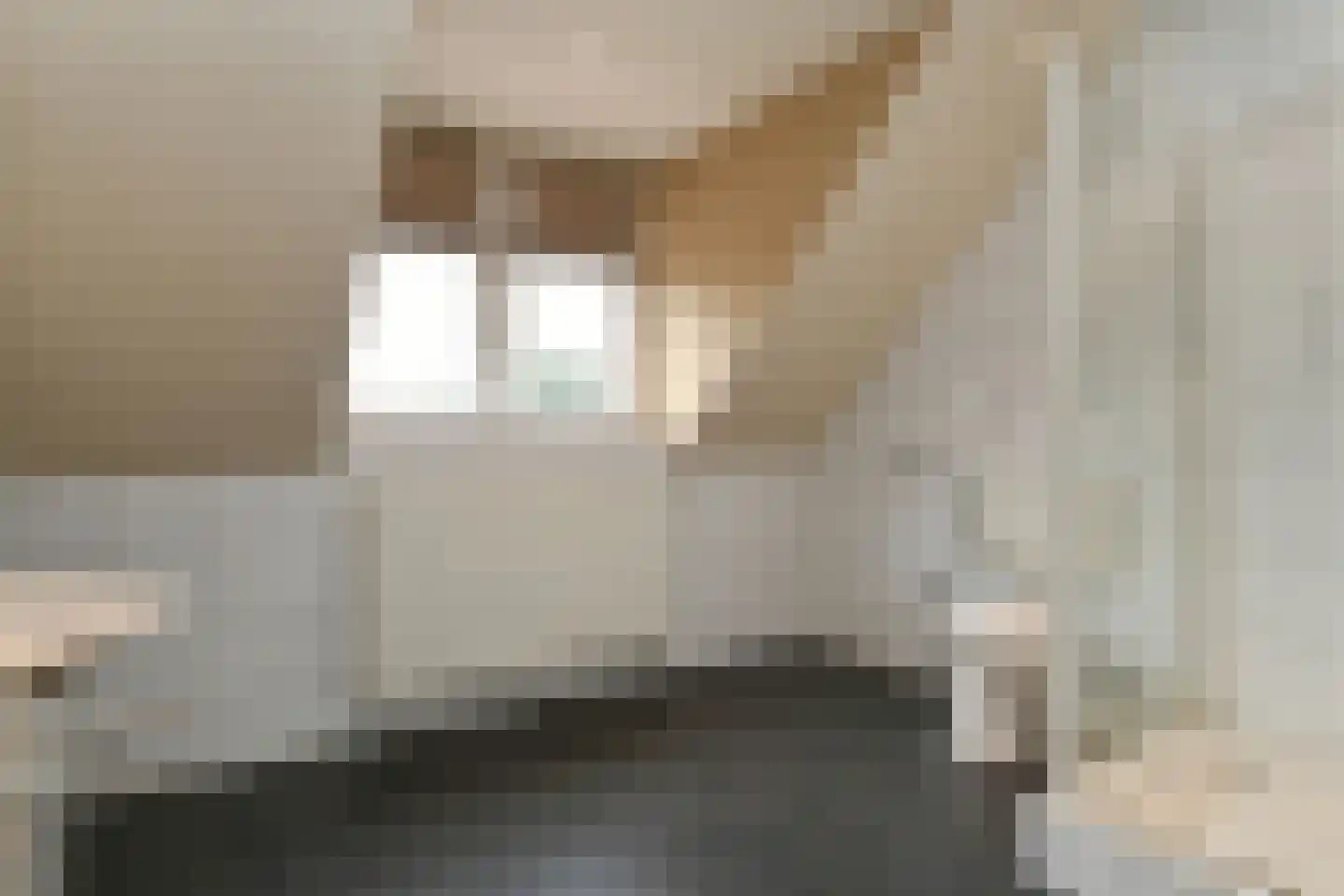 Echterstraat 17 Echt thumbnail 28