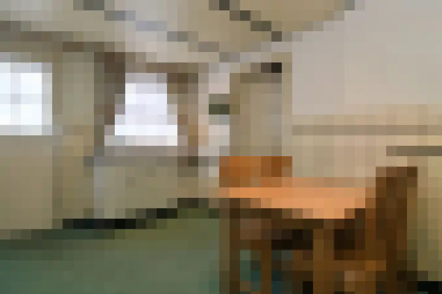 Echterstraat 17 Echt thumbnail 9