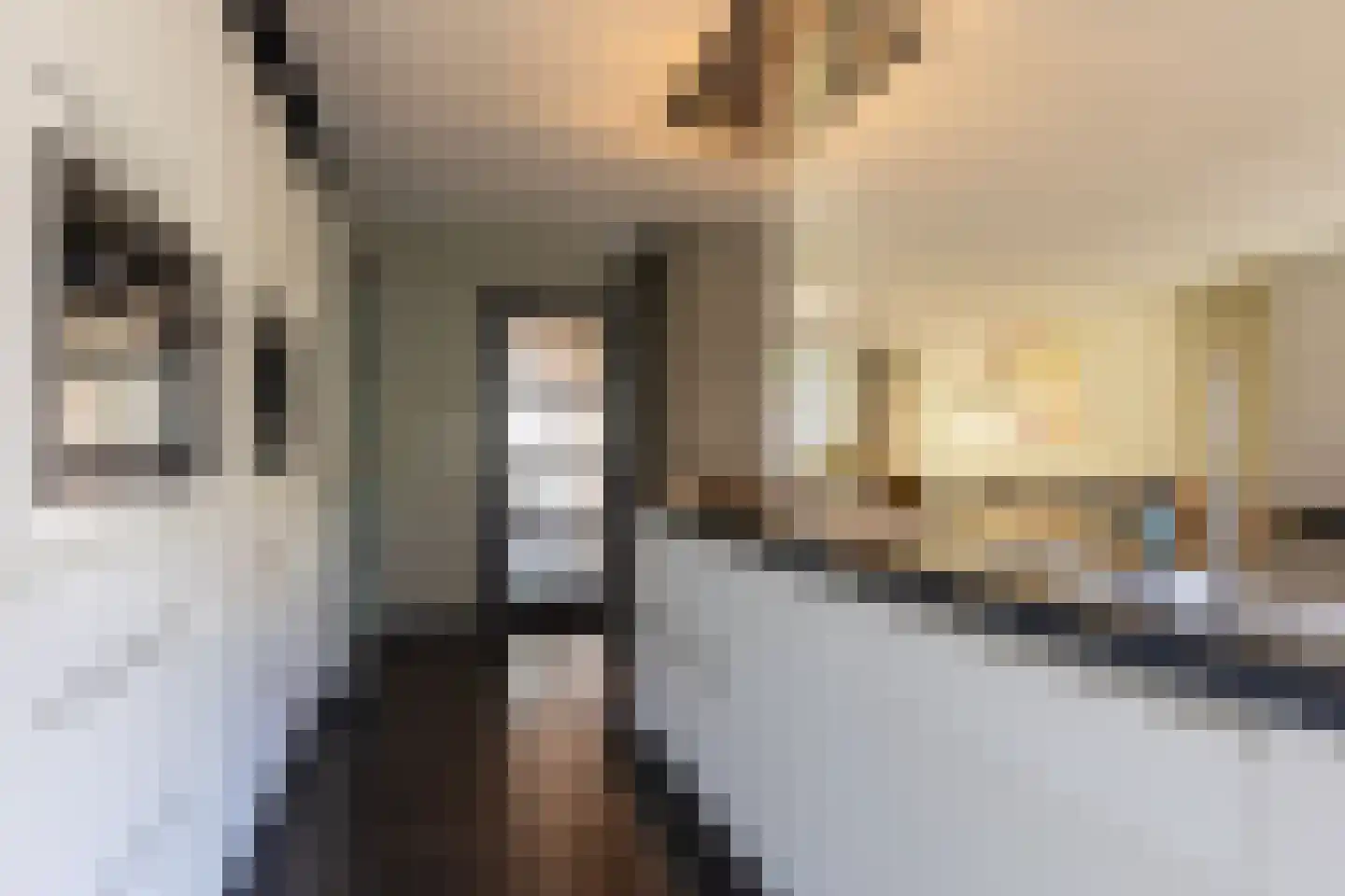 Echterstraat 26 Maasbracht thumbnail 13