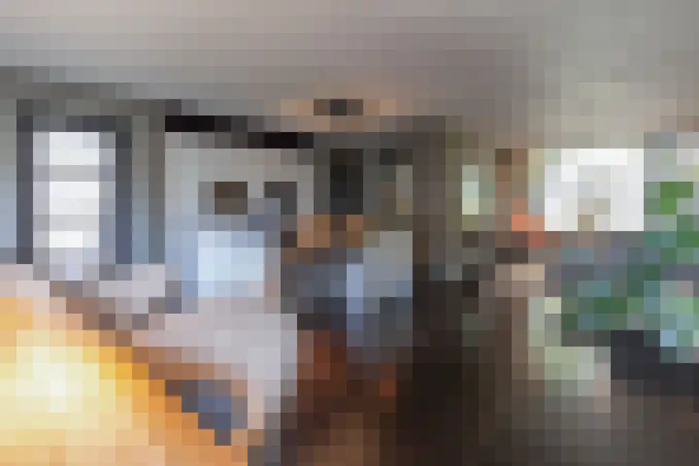 Echterstraat 26 Maasbracht thumbnail 17