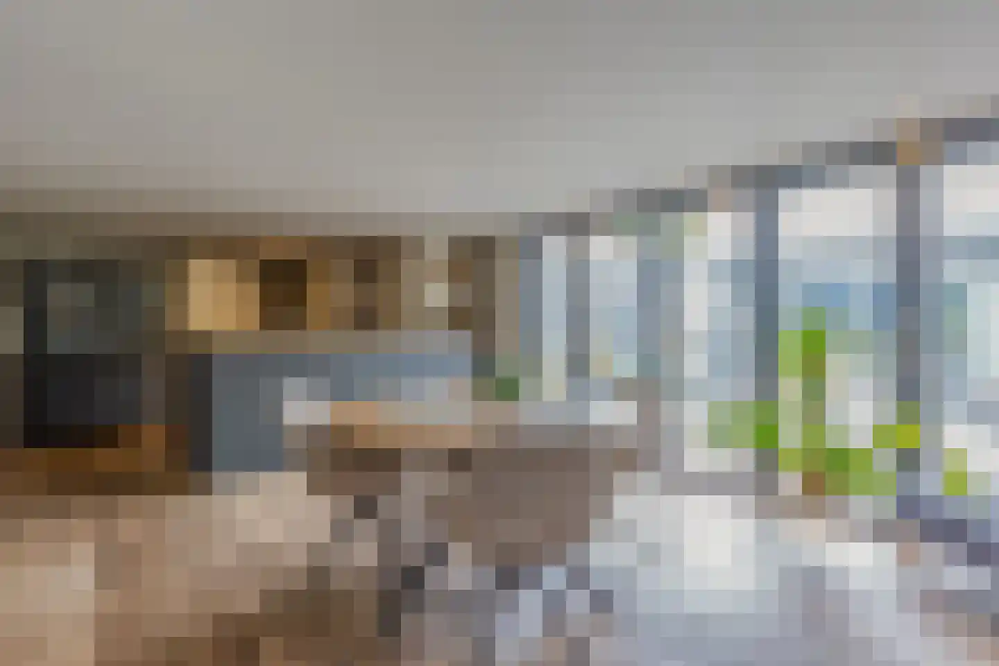 Echterstraat 26 Maasbracht thumbnail 25