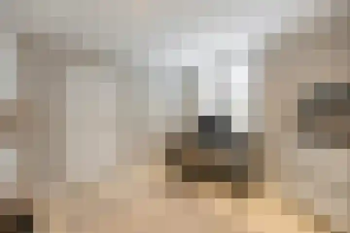 Echterstraat 34 Echt thumbnail 11