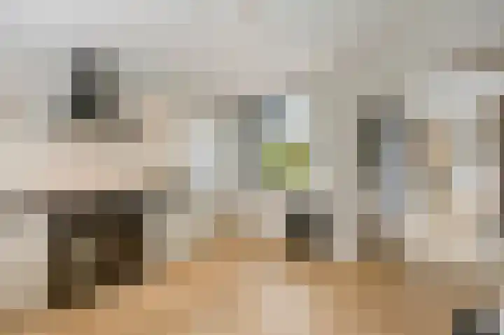 Echterstraat 34 Echt thumbnail 23
