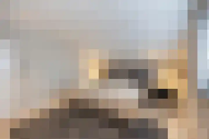 Echterstraat 34 Echt thumbnail 35