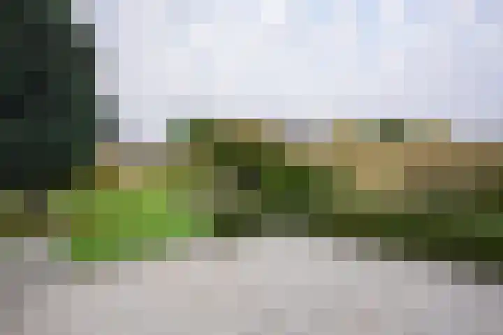 Echterstraat 36 Echt thumbnail 24