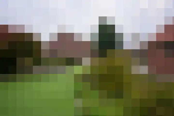 Echterstraat 36 Echt thumbnail 30