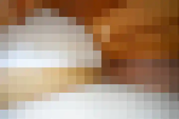 Echterstraat 36 Echt thumbnail 35