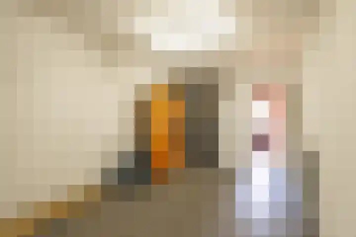 Echterstraat 79 Maasbracht thumbnail 10