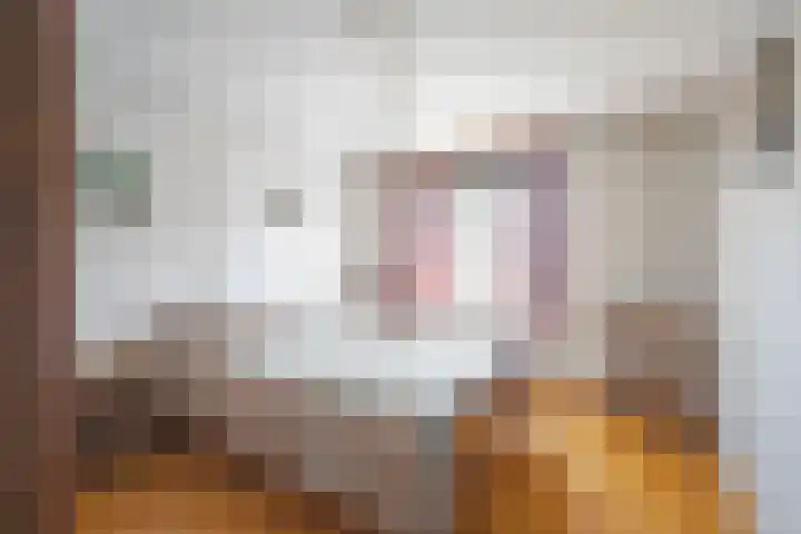 Echterstraat 79 Maasbracht thumbnail 16