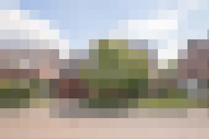 Echterstraat 79 Maasbracht thumbnail 31