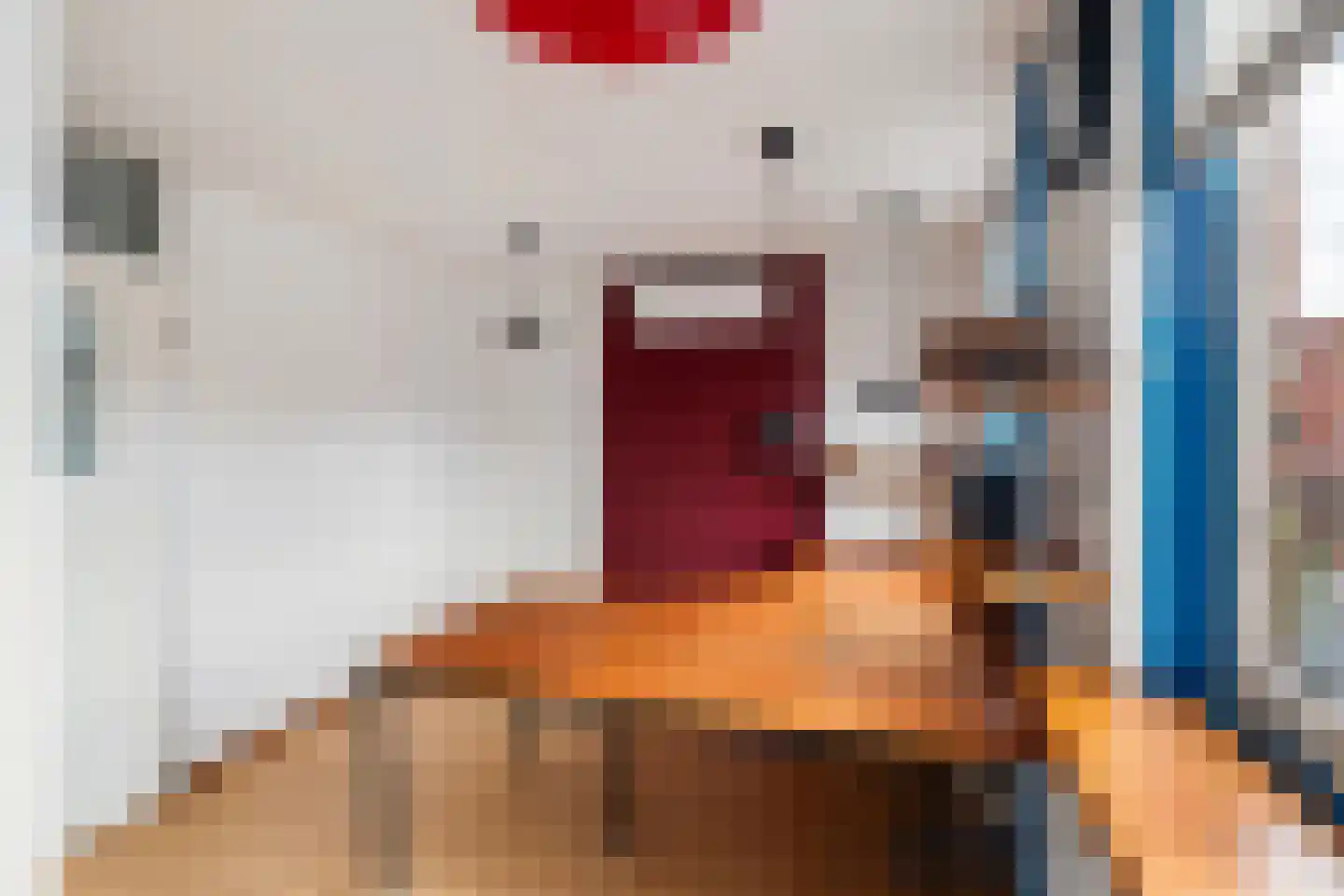 Echtpaar Curiedreef 11 Maassluis thumbnail 22