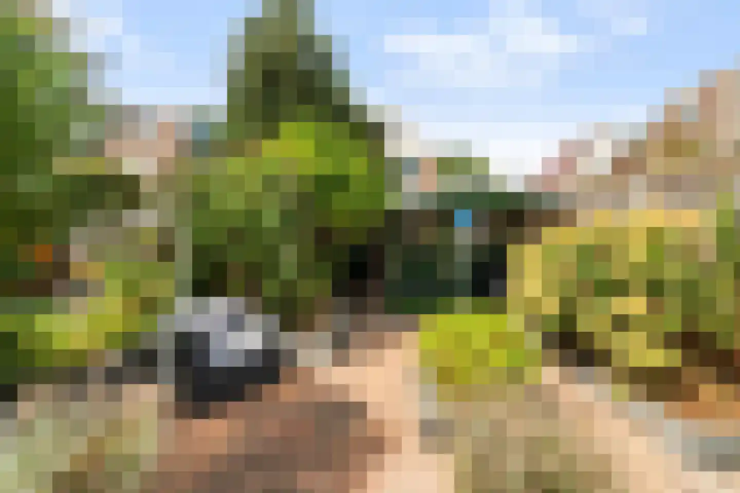 Echtpaar Curiedreef 11 Maassluis thumbnail 41