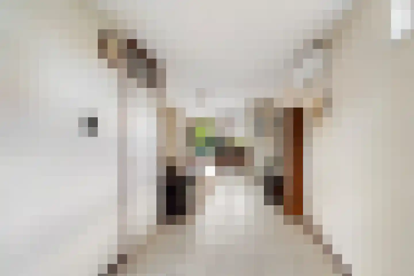 Echtpaar Curiedreef 11 Maassluis thumbnail 7